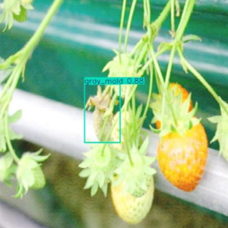 PPA-MC-YOLO：精确检测草莓病害的尺度自适应和频率感知注意网络
